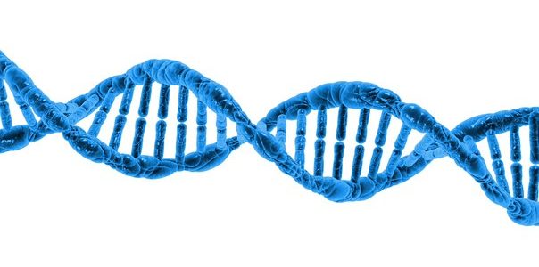Modyfikacje w obrębie kodu DNA mogą pomóc w terapii nieuleczalnych chorób